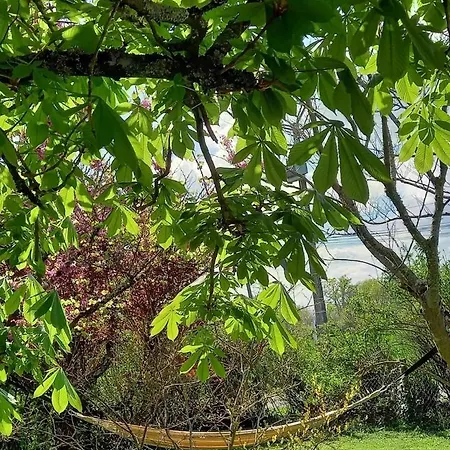 L'ecrin De Louise Barry-d'Islemade